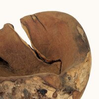 Dekoschale massives Wurzelholz Teak Unikat Handarbeit Java