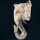 Wandfigur Elefantenkopf Alabasia Holz H: 29 cm in Weiß Gold