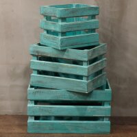 Kisten Holz 2er Set Grün Albesia für Obst...