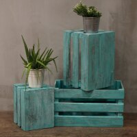 Kisten Holz 2er Set Grün Albesia für Obst Schuhe Handarbeit
