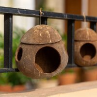 Vogelhaus Kokosnuss Deko hängend Garten Balkon Bali Natur