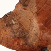 Wanddeko Teak Wurzelholz Handarbeit Unikat