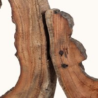 Wanddeko Teak Wurzelholz Handarbeit Unikat