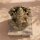 Gartenstatue Ganesha 53 cm hoch Beton-Steinguss massiv