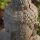 Statue außen massiv Buddha Beton-Steinguss 43 cm hoch