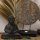Deko Statue Feng Shui Set Mandala + Buddha Holz Handarbeit