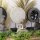 Statue Deko Set Feng Shui Buddha + Mandala 45 / 26 cm Holz