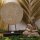 Statue Deko Set Feng Shui Buddha + Mandala 45 / 26 cm Holz